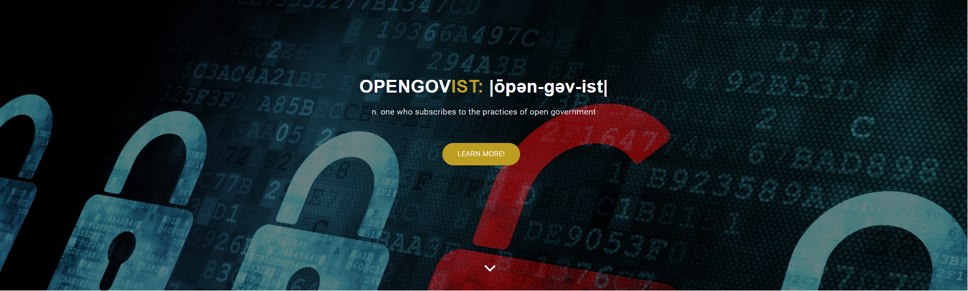 OPENGOVIST